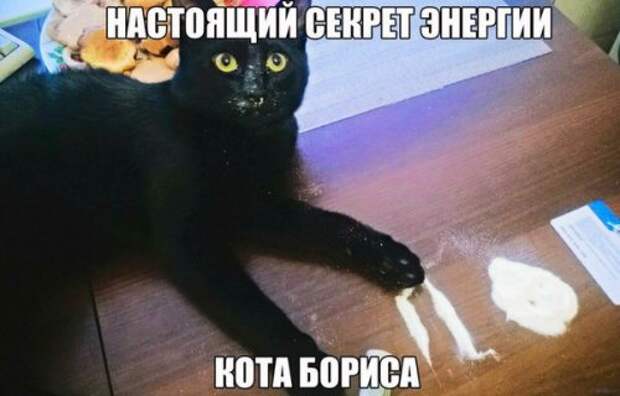 Новые фотомемы на Бугаге (23 шт)