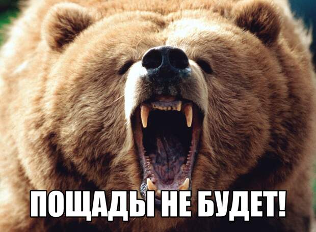 Ну что, сволочи, разбудили медведя? Теперь молитесь! Ну что, сволочи, разбудили медведя? Теперь молитесь!