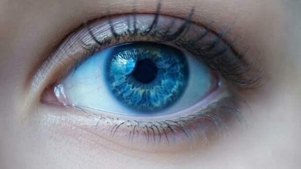 Глаз / Изображение сгенерировано с помощью нейросети GigaChat / amic.ru