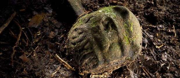 В Гондурасе обнаружили следы древней цивилизации