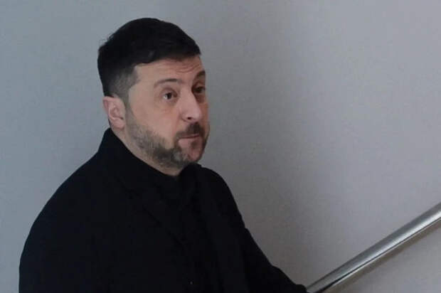 Психиатр Шуров сравнил Зеленского с Гитлером перед смертью