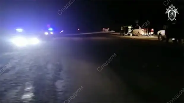 «Привлекались к уголовной ответственности»: в Иркутской области банда угонщиков застрелила студента-автомобилиста