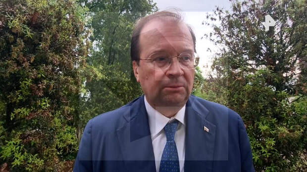 Посол РФ рассказал о давлении ЕС на дирекцию Венецианской биеннале