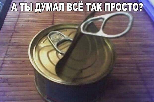 Веселые картинки с надписями для поднятия настроения (12 фото) Веселые картинки с надписями для поднятия настроения (12 фото)