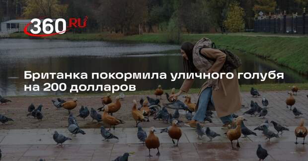 The Sun: британку оштрафовали на 200 долларов за кормление голубя тортильей