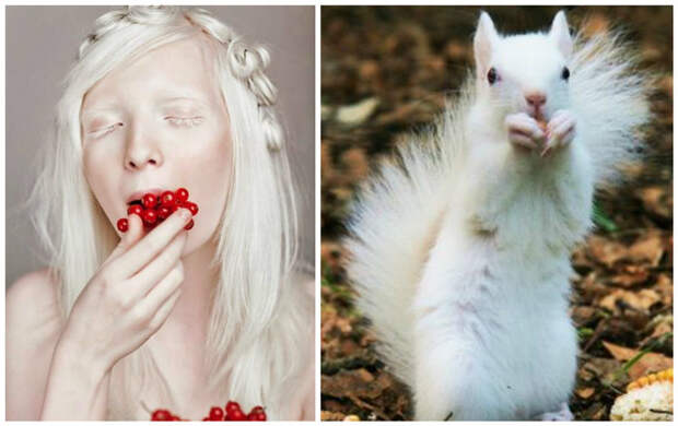 Есть еще глазно-кожный альбинизм (ксантизм): при нем поражаются глаза, волосы и кожа.  альбиносы, интересное, природа