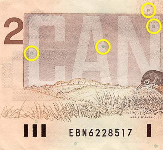10 секретов, которые помогут вам отличить настоящие банкноты от фальшивых