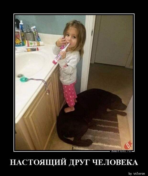 Сборник демотиваторов на Бугаге (19 фото)