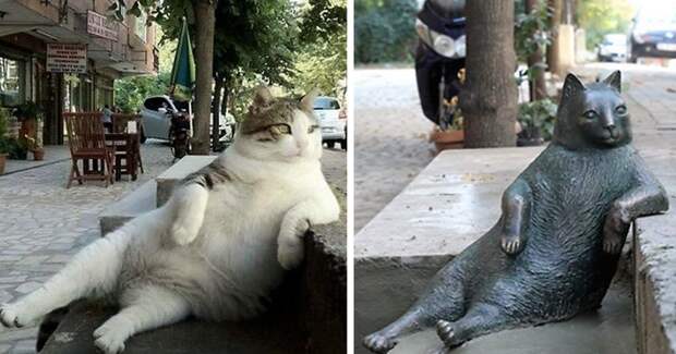 Самый знаменитый кот Стамбула удостоен памятника из бронзы животные, кот, памятник, стамбул
