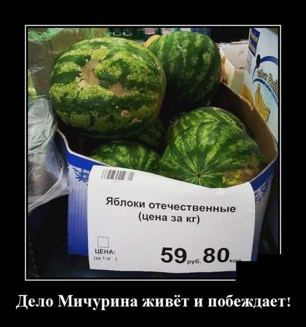 Демотиваторы (20 фото)