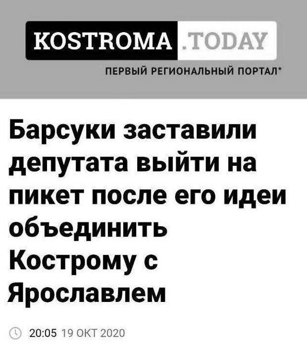 Новость про барсуков