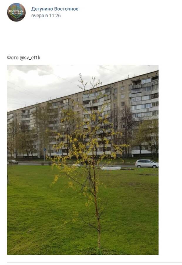 Фото дня: весеннее Дегунино