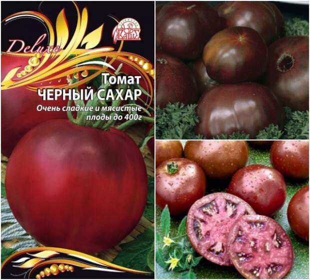 томат черный сахар