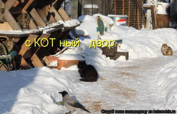 Мысли вслух :)