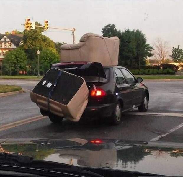 Прикольные картинки