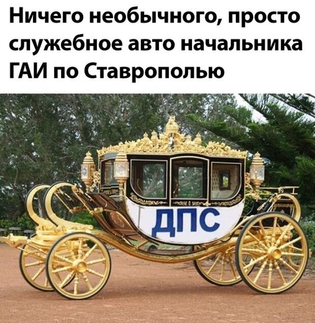 Смешные картинки 22 июля 2021