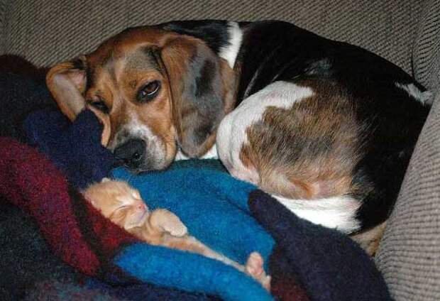 Sleepy time