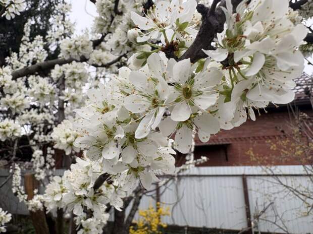 Циклон продолжает атаковать Кубань: кратковременные ливни и скачок температуры