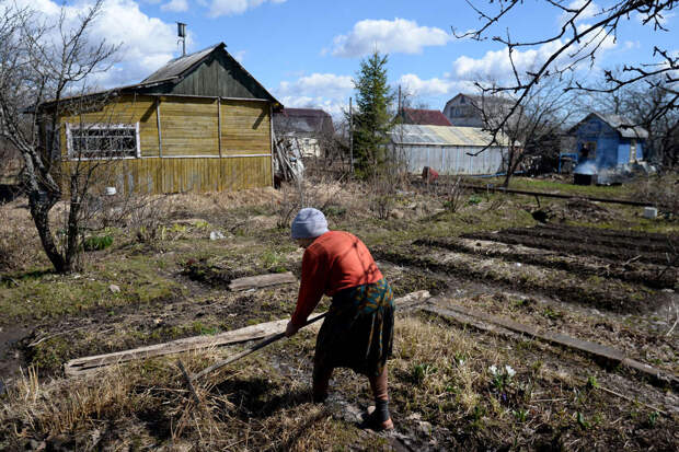 Почти половина россиян начали активнее использовать садовую технику