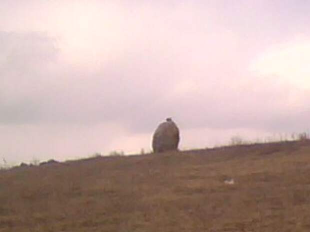 Загадочный валун в Межозерном движется вопреки законам физики