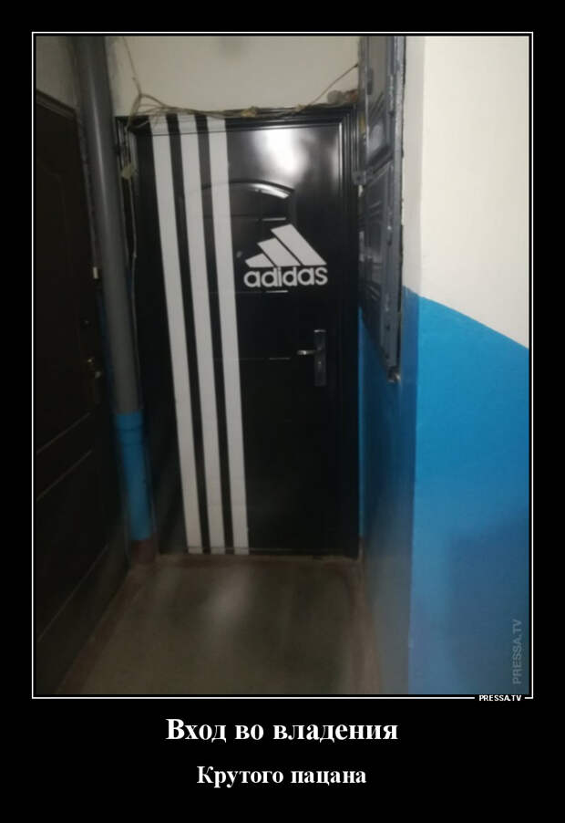 Демотиваторы