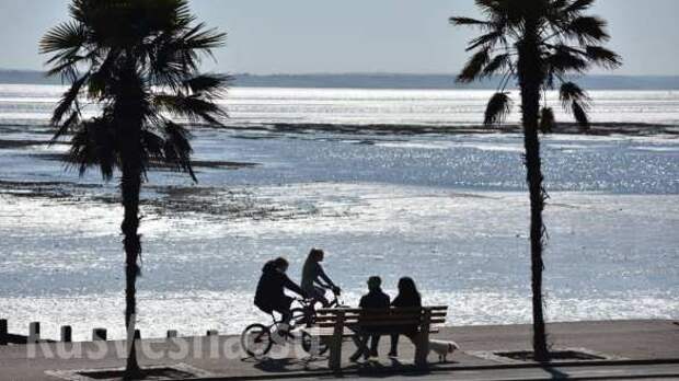 Шашлык по-британски: тысячи лондонцев вышли на пикники, игнорируя карантин (ФОТО, ВИДЕО) | Русская весна