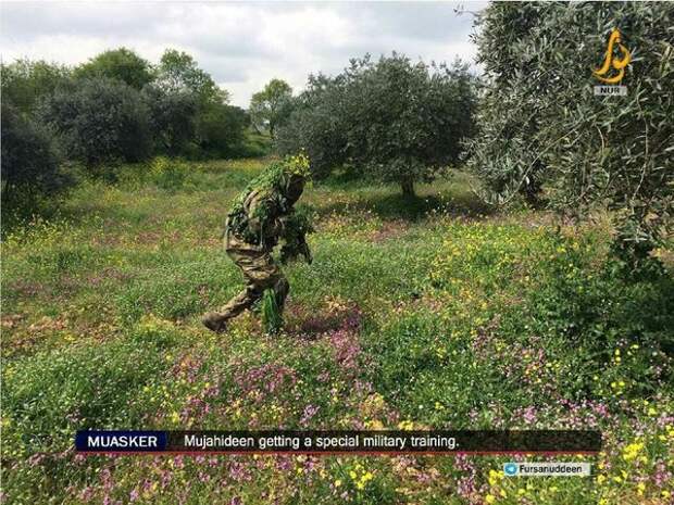 Боевики в провинции Хама проводят интенсивные тренировки