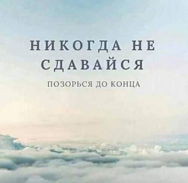 Прикольные и смешные картинки