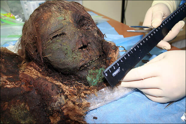 В России раскопали 900-летнюю мумию «полярной принцессы» и она просто поразительна археологи, история, мумия, находка, принцесса, раскопки, удивительно