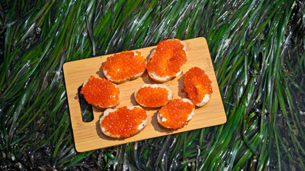 Аналитики подсчитали стоимость бутерброда с красной икрой