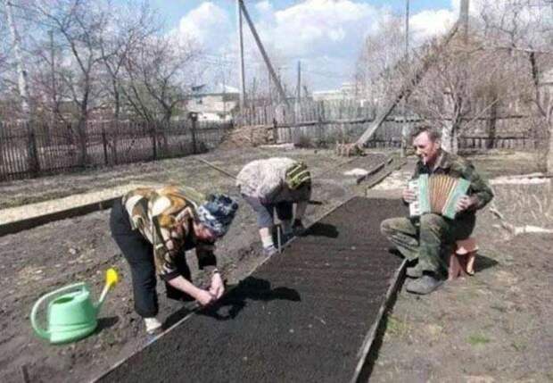 1479745065_21