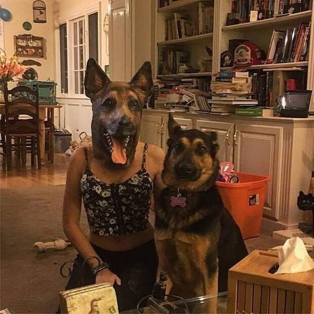Не грустные картинки веселые картинки, фотографии, юмор