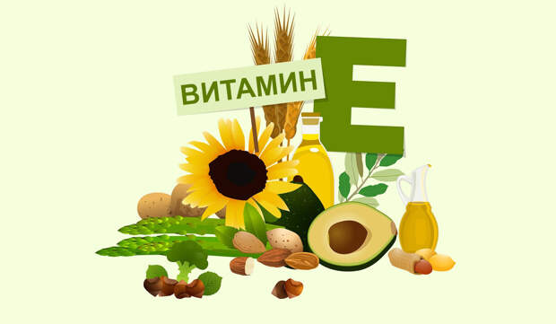 Витамин Е — как влияет на организм? Дневные нормы и где содержится