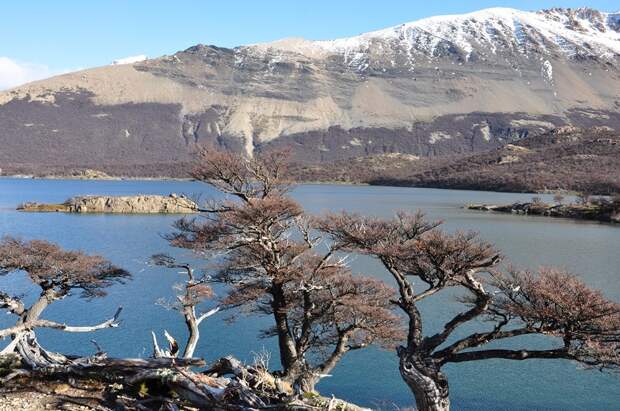 Patagonia27 Patagonia27 Патагония: Прогулка к горе Фицрой