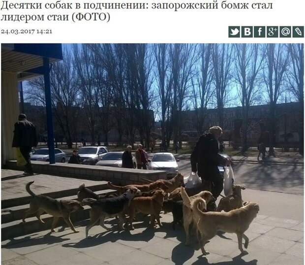 Интересные и веселые картинки картинки, прикол, юмор