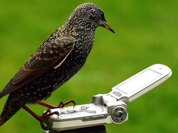 Давайте улыбаться вместе :)