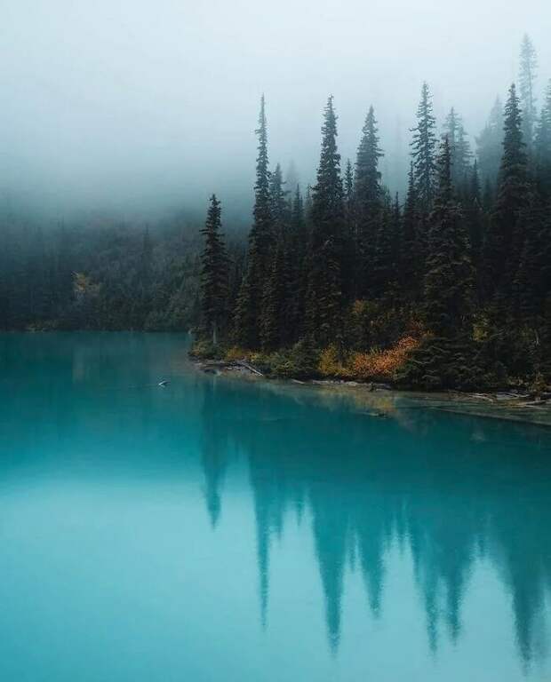 Bigpicture ru без названия 2022 06 28t194259.865