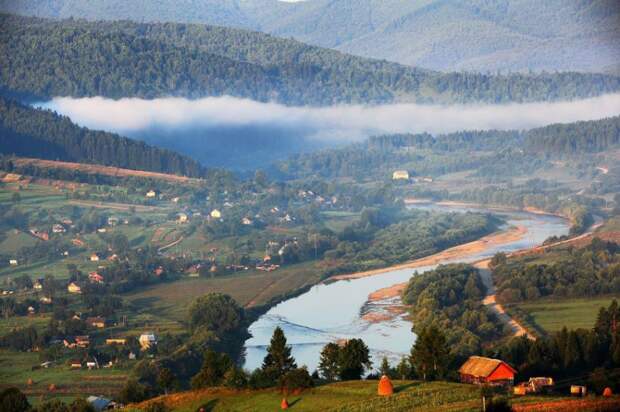 животные, природа, путешествия, Украина