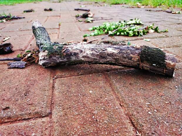 Стало известно о смерти ребенка из-за урагана в российском городе