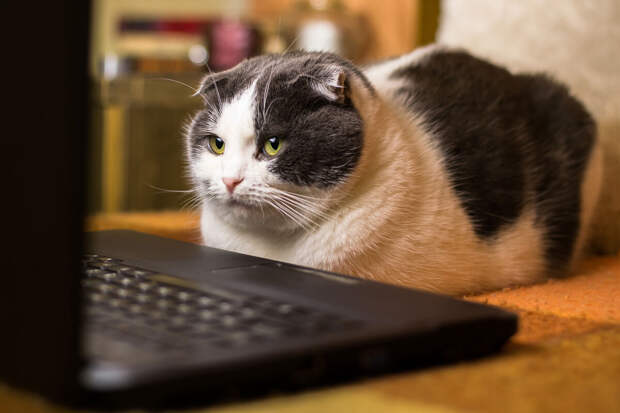 Адвокат Контуганов: закрытый профиль не спасает от ответственности за старые посты