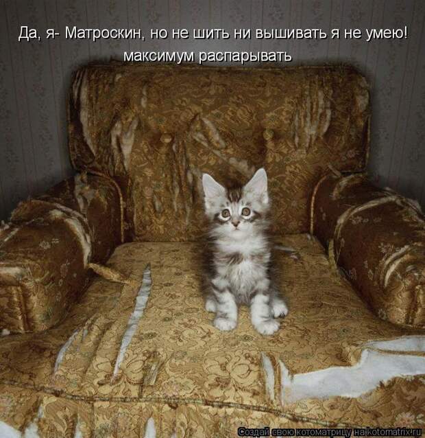 Да, я- Матроскин, но не шить ни вышивать я не умею! максимум распарывать