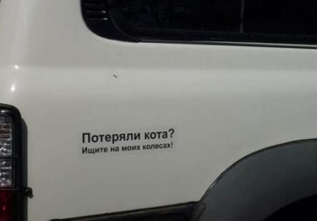 24. Кота у меня нет, но не по себе как-то стало автоприколы, креативщики, надписи на авто, фото