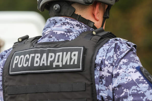 Проститутки приятной внешности из российского города заговорили