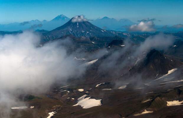 Камчатка камчатка, медведи, фото, россия