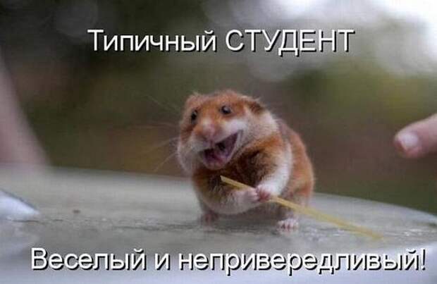 Подборка прикольных картинок