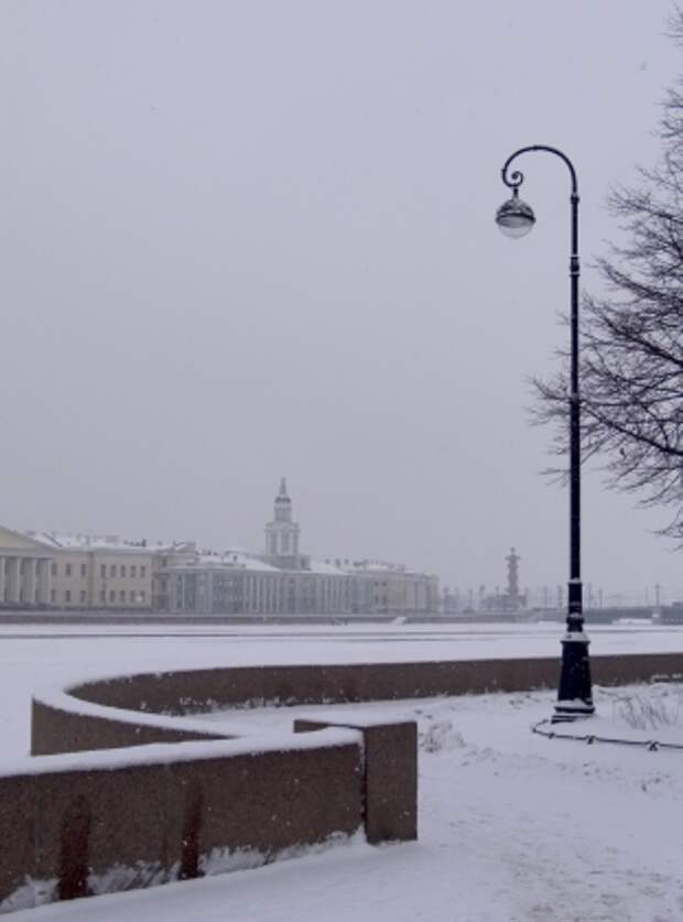 Кунсткамера зимой 