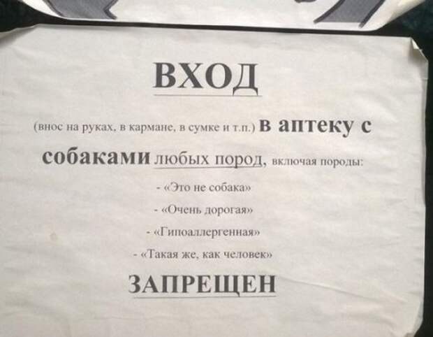 Смешные вывески, реклама и объявления (19 фото)