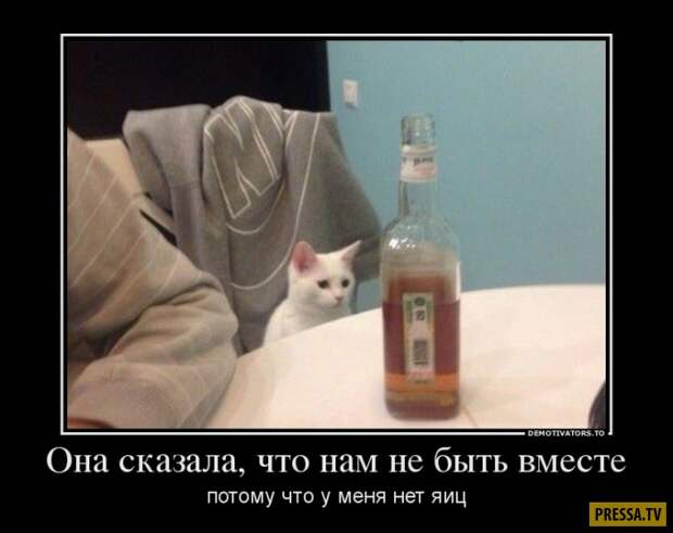 Демотиваторы (42 фото)