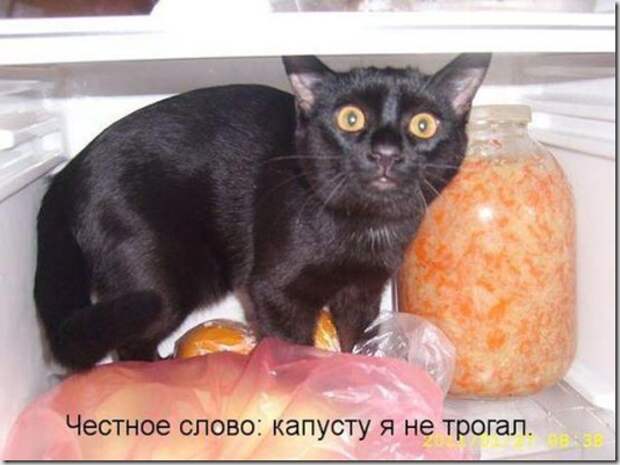 77ad779c02fb2565cf681bbb344_prev