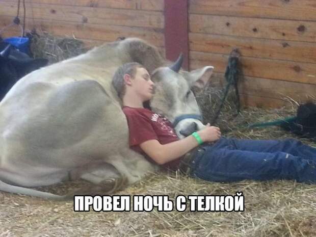 Приколы